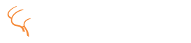 연세에스병원